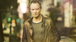 Musiker Sting (Pressefoto) © Universal Music 